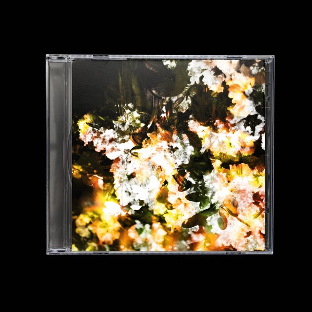 Days-Begin-I
