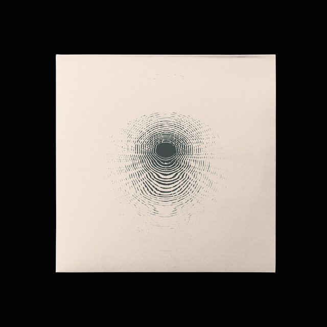 20241113-F