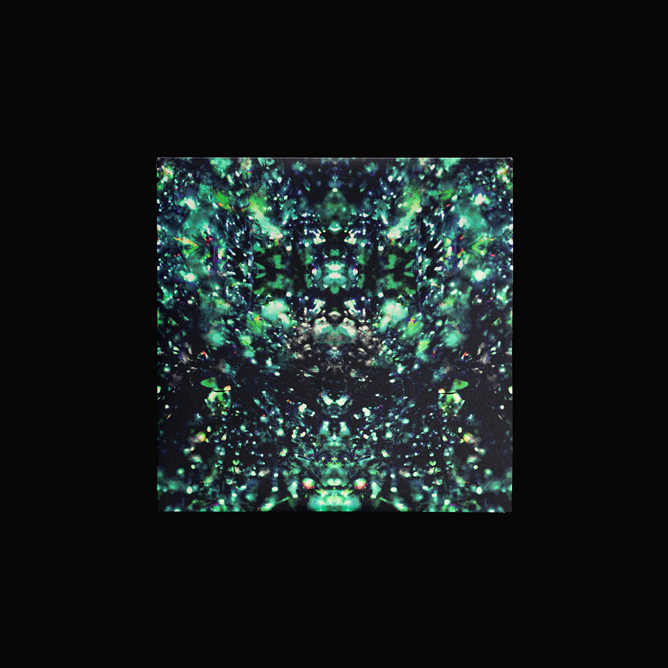 20241010-B2