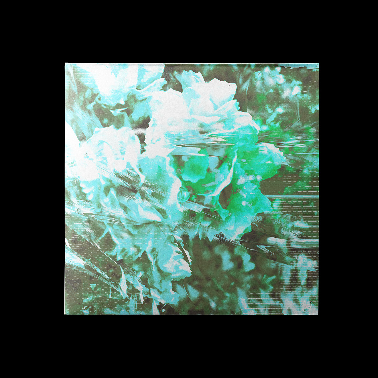 20250102-D1d3